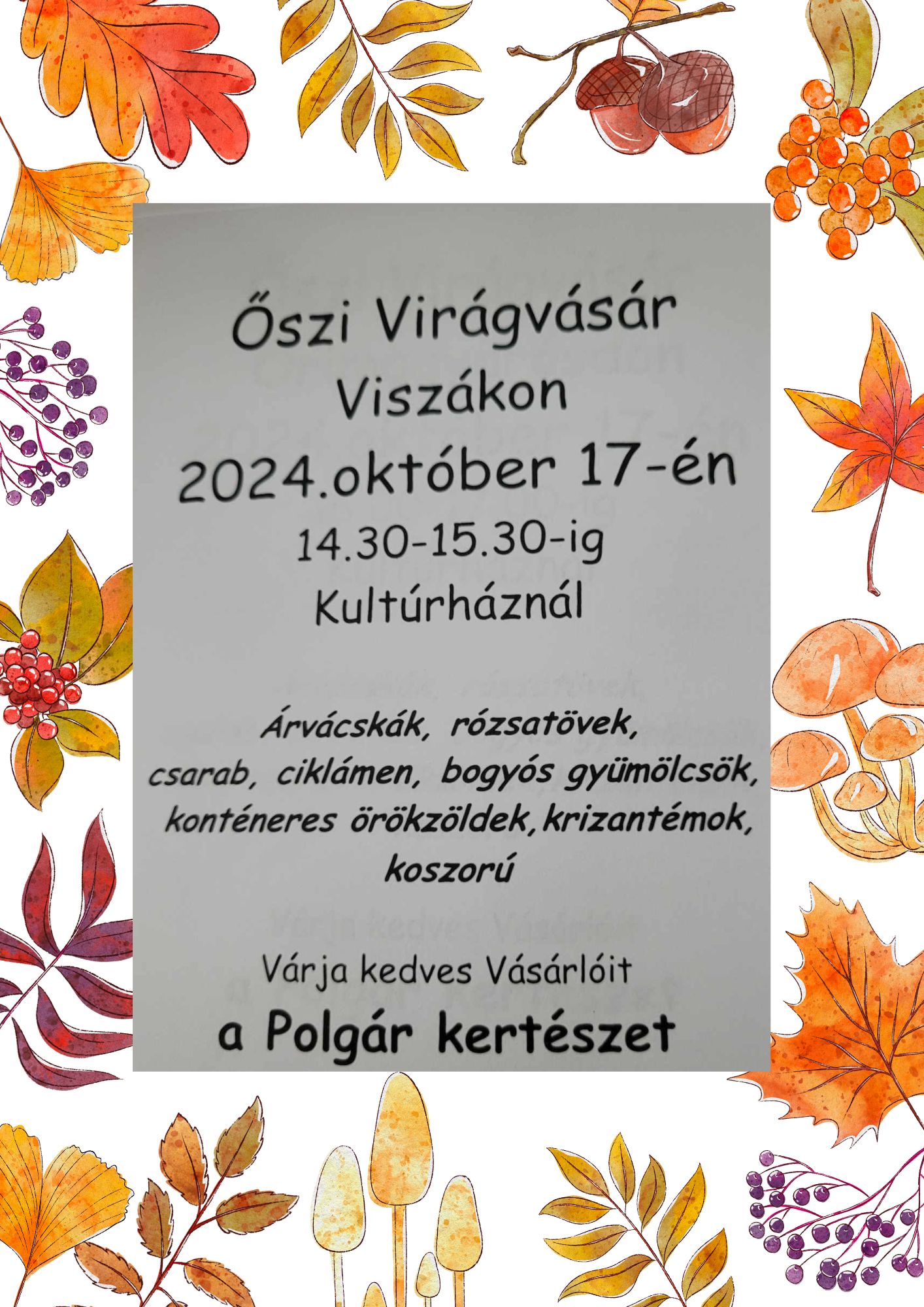 Őszi virágvásár Viszákon 2.