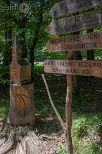 514288787 122223466826164386 7645104318657221695 n