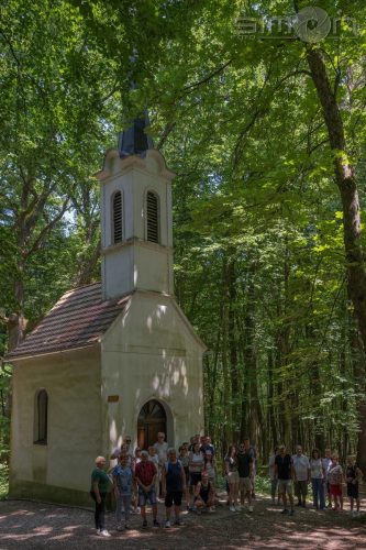 514320775 122223466862164386 2502262883087732363 n