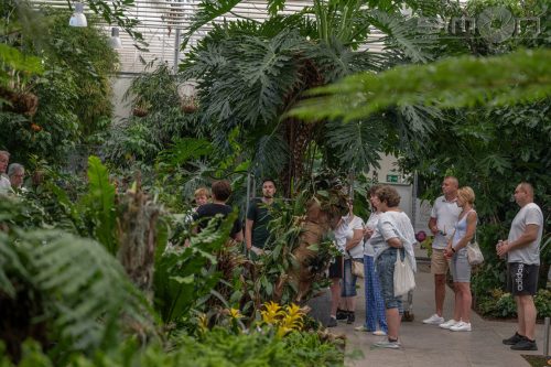 514501384 122223466922164386 4076658523964600261 n